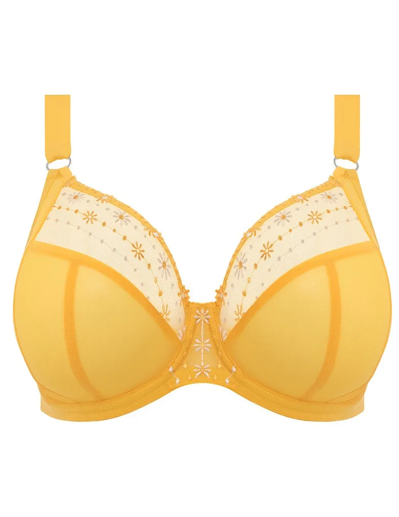 Elomi EL8900 Matilda Daisy UW Plunge Bra