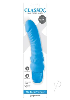 Mr Right Vibrator Blue