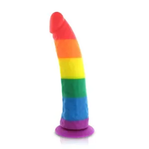Pride Dildo - Silicone Rainbow Dildo 8